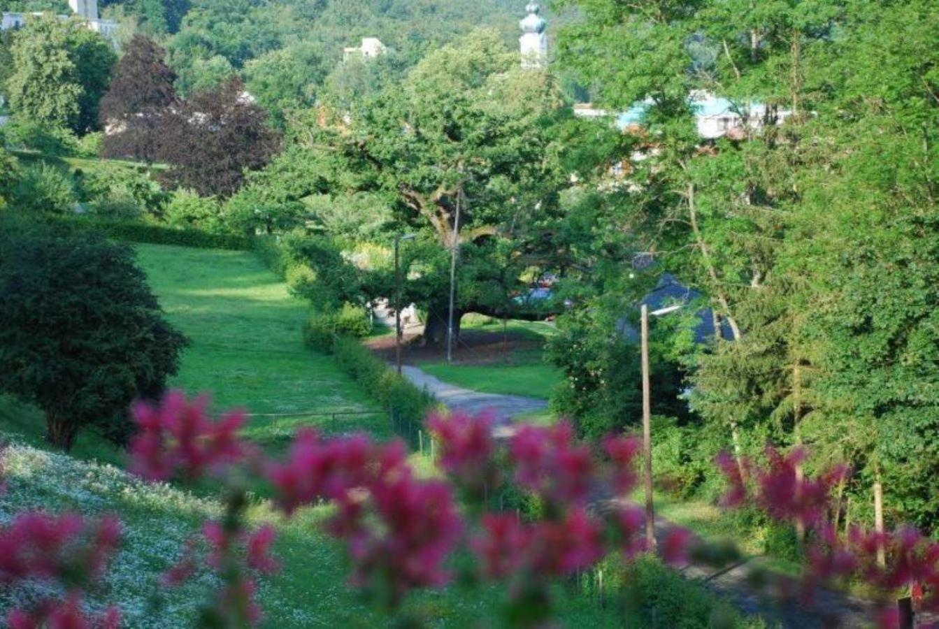 Rhoen Hotel Waldcafe St. Georg Staatsbad Brückenau Exteriör bild